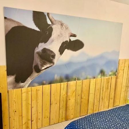Le Depot Studio Du Petit Port Champvert Экстерьер фото